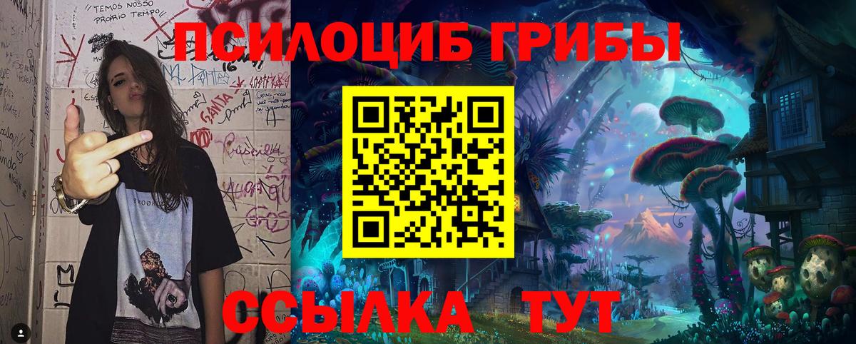 Галлюциногенные грибы Cubensis  Вход с VPN  сколько стоит  Великие Луки 